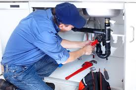 Best 24/7 Emergency Plumbing Services  in Forsyth, MO